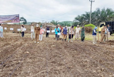 Sukseskan Program Nasional, Sumber Sari Realisasikan Sadesahe