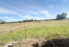 Air Belum Memadai, Mayoritas Petani Desa Ranah Karya Belum Olah Tanah