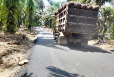 Pembangunan Jalan Menuju Sendang Mulyo Tuntas, Panjang Capai 1.580 Meter