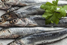 8 Jenis Ikan Kaya Kalsium: Nutrisi Alami untuk Kesehatan Tulang