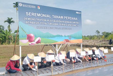 Banyak Petani di Mukomuko Belum Mengenal Organik?