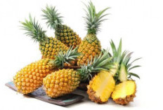 Resep Olahan Nanas yang Lezat dan Segar: Variasi Menu Sarapan, Camilan, dan Minuman!