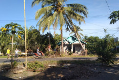 Mengancam Keselamatan, Warga Tebang Pohon Besar Didepan Rumah