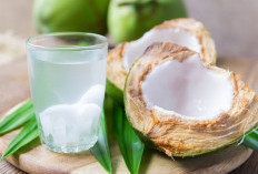 apakah benar minum air kelapa bisa mengeluarkan racun yang ada di dalam tubuh?, Simak Penjelasannya di sini