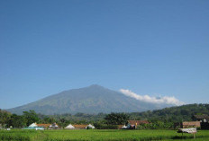 Misteri Gunung Arjuno, Puncak Tertinggi dan Kisah Mistis di Jantung Jawa Timur