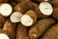 Terungkap! Ini 5 Rahasia Memasak Singkong Agar Empuk dan Merekah Sempurna