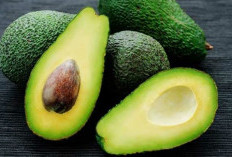 Alpukat untuk Diet Seimbang: Mendukung Program Penurunan Berat Badan dan Gaya Hidup Sehat!