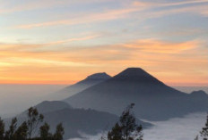 Menuju Puncak Harapan: Menaklukkan Gunung Prau di Dataran Tinggi Dieng