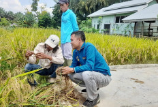 Petani Harus Semakin Cerdas 