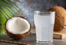 6 tips Aturan Minum Air Kelapa yang Patut Anda ketahui, Simak Penjelasannya di Sini! 