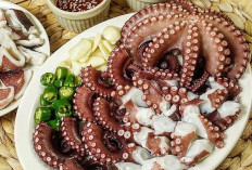 Resep Olahan Gurita yang Lezat dan Kreatif: Variasi Menu dari Berbagai Negara!