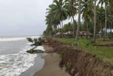 Mengupas Ancaman Mematikan Erosi Pantai