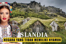 Islandia, Negara Tanpa Nyamuk yang Paling Bahagia dan Paling Aman di Dunia
