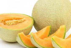 Segarnya Buah Melon: Rahasia Manis untuk Hidup Sehat dan Bugar!