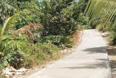 Gajah Mati Optimis! Bangunan Fisik Tahun 2025 Terealisasi Sesuai Target