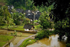 Kampung Naga: Oase Tradisi di Tengah Modernisasi Tasikmalaya  ﻿