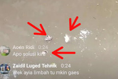 Banyak Ikan Mati, Sungai Kukun Diduga Tercemar Limbah PT. KSM