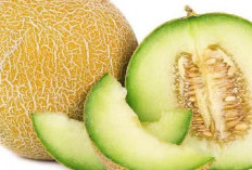 7 Penyakit Ini Bisa Diredakan dengan Melon, Nomor 5 Jarang Diketahui!