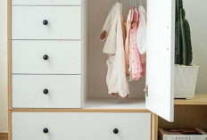 Mengatasi Masalah Bau Apek di Lemari: Kembalikan Kesegaran Pakaian Anda