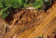 Musim Penghujan Tiba Waspada, Area Ini Rawan Longsor!