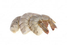 Mitos dan Fakta tentang Udang: Informasi yang Perlu Diketahui!