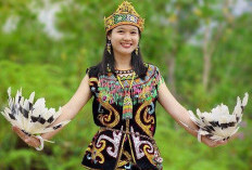Pesona Baju Adat Dayak, Kekayaan Budaya Kalimantan yang Memukau