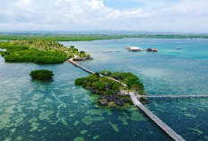 Berpetualang di Pulau Osi yang Menyenangkan dengan Pengalaman Baru