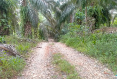 Ini Usulan Penting Pemdes Gading Jaya ke Kabupaten 