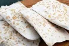 Tempe Tahan Lama dan Tetap Lezat? Ini 5 Cara Simpan yang Wajib Kamu Coba!