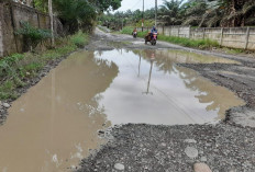 Efesiensi Anggaran, Beberapa Ruas Jalan Batal Dibangun Tahun 2025