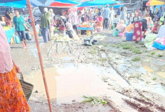 Jalan Becek Dan Tergenang, Pasar Kamis Lubuk Pinang Dikeluhkan Masyarakat