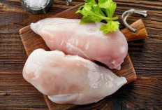 Dada Ayam: Pilihan Tepat untuk Gaya Hidup Sehat dan Aktif!  ﻿