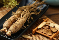 Ginseng: Akar Ajaib dengan Manfaat Luar Biasa