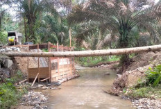 Baru Segini Pembangunan Jembatan Darurat Akses Pertanian Talang Buai