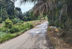Kondisi Jalan Provinsi di Kecamatan V Koto Masih Jadi Keluhan Masyarakat