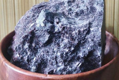 Garam Hitam (Kala Namak) Keajaiban Garam Himalaya yang Tersembunyi