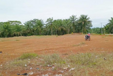 Desa Diminta Siapkan Lahan Pembangunan Gerai Kopdes
