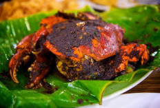 Kepiting Asap, Sensasi Rasa Laut yang Menggoda Selera