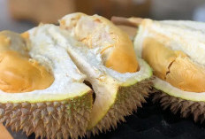 Simak, 5 Makanan Ini Wajib di Konsumsi Setelah Makan Durian