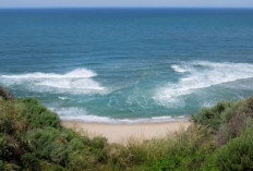 Menjaga Keselamatan di Pantai: Mengungkap Misteri Bahaya Rip Current