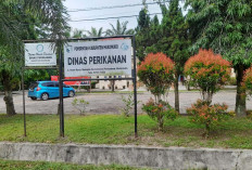 DAK Dinas Perikanan Rp7 miliar, Terbesar se-Provinsi Bengkulu