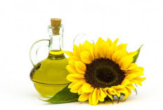 Bunga Matahari: Keindahan yang Membawa Manfaat Kesehatan!