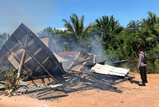 1 Unit Rumah Tukang Panen Sawit Ludes