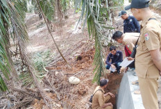 Monev Tahap I di Kecamatan Lubuk Pinang Lanjut Bulan Depan