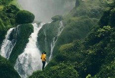 Curug Citambur Pesona Tersembunyi di Hutan Cianjur yang Menakjubkan