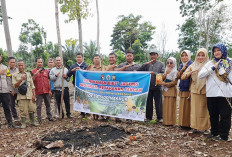 2026 Desa Masih Disarankan Tanam Jagung