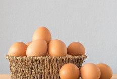 Manfaat Telur untuk Kecantikan: Masker Telur untuk Kulit dan Rambut Sehat!