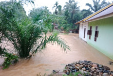 7 Unit Rumah Warga Sibak Terendam Banjir 