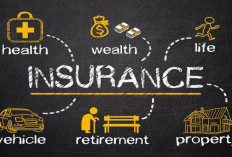 Asuransi Kendaraan, Kenapa Tidak Cukup Hanya Mengandalkan STNK