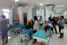 Bahaya Terlambat Menangani DBD Mengapa Harus Segera ke Fasilitas Kesehatan 